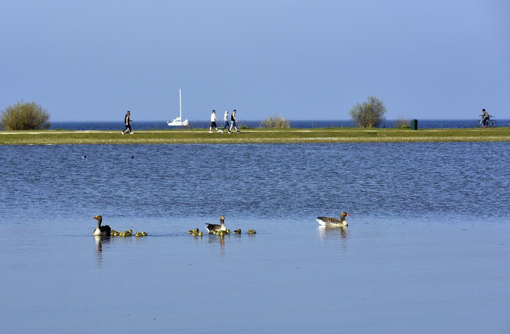 Ijsselhof Villa Type Medemblik 6 Andijk Exteriér fotografie